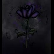 Saint Jhn Roses Said The Sky Tobee Tiktok Guitar Remix Best Version Jacob Johnson
