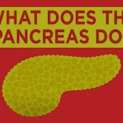 Pancreas