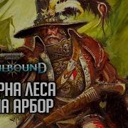 Скверна Леса Магна Арбор Гибель Брайзила Rpg Стрим
