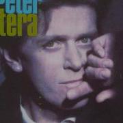 Peter Cetera Wake Up To Love