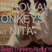 I Ve Been Thinking About You Microwave Monkeys