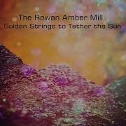 Rufford Park Poachers The Rowan Amber Mill