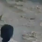 Нашид Ачам Стан