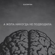 А Жопа Никогда Не Подводила