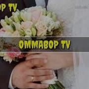 To Ylar Muborak Minus Туйлар Муборак Минус