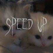 За Тебя Калым Отдам Speed Up