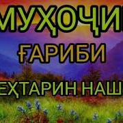 Беҳтарин Нашид Муҳоҷир