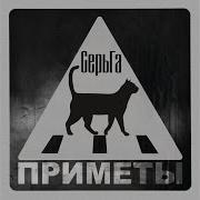 Мы Забьем На Войну
