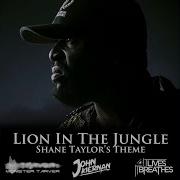 Lion In The Jungle Shane Taylor S Theme