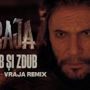 Miorița Vraja Remix