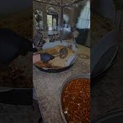 Ошга Мархамат