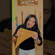 Ammorett Coco