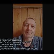 В Чем Проблема Бэби Никита