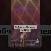 Лесбиянки Смотреть Голая Ксения Собчак