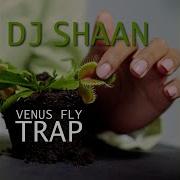 Gradual Dj Shaan