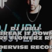 Break It Down Fire Flowerz Remix