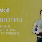Врожденные И Приобретённые Программы Поведения