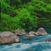 Relaxing Nature Sounds Water Sound 24 Hours Gentle River Stream Relax Night And Day Beautiful Nature Sounds