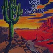 Cactus Long Tall Sally