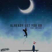 Already Let You Go Feat Anthony E Vigiland