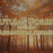 Relaxing Celtic Music Autumn Forest