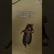 Настоящие Крысы 1