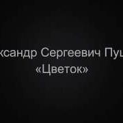 Цветок Александр Пушкин