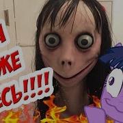 Никогда Не Звони Momo По Whatsapp В 3 Часа Ночи Переписка С Момо В