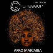 Tookroom Afro Marimba