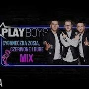 Playboys Mix Cyganeczka Zosia Czerwone I Bure Oficjalny Audiotrack