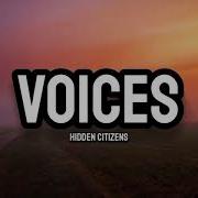 Voices Hidden Citizens