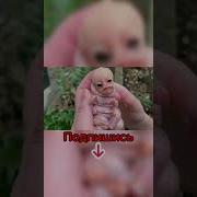 По Пустыне Раскаленной Динозавр Шел Огромный
