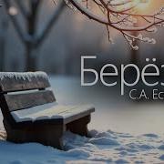 Владимир Февраль Берёза