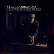 Swing Feat Steve Dobrogosz Trio Steve Dobrogosz