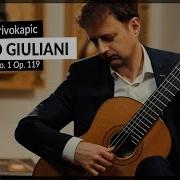 Friedemann Wuttke Rossiniana No 1 Op 119