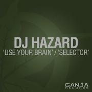 Use Your Brain Dj Hazard