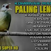 Masteran 5 Suara Burung Komplit