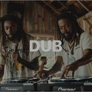 Beautiful Dub Session Reggae Dub Raggamuffin Funk Mixtape