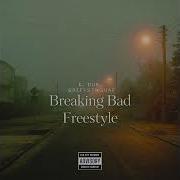 Freestyle Feat Kdub