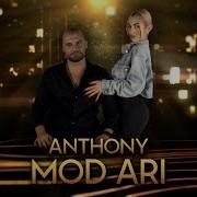 Anthony Bajakjian Mod Ari