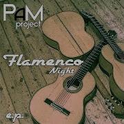 Mahalageasca 2K13 Radio Edit Pam Project
