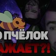 Стрей Тот Кто Пчелок Уважает