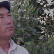 Данияр Абдыкадыров Аял Заты