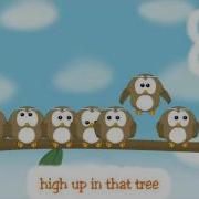 Kids Songs Ten Little Owls Counting For Kids