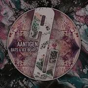 Bats Ice Bears Original Mix Aantigen