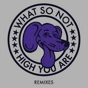 High You Are The Only Remix What So Not