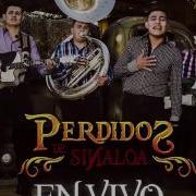 Letra El Gallo Perdidos De Sinaloa En Vivo Desde Los Mochis Musica De Arranque Suscribete