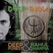 Punjab Rahul Sharma Deep Forest