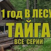 Год В Тайге