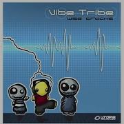 Vibe Tribe Pulse